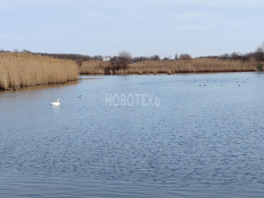 Продам дом, Колхозная ул, 39, Скобелевская ст-ца, 0 км от города