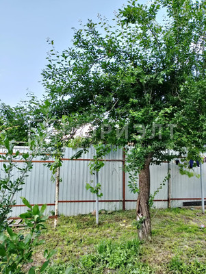 Продам дом, Длинная ул, 224к1, Ильский пгт, 0 км от города