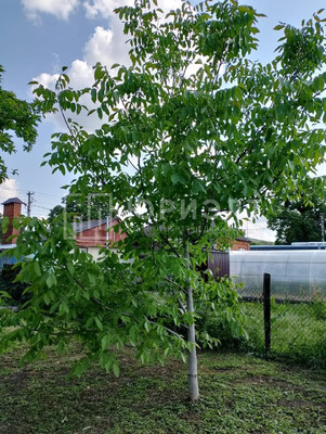 Продам дом, Длинная ул, 224к1, Ильский пгт, 0 км от города