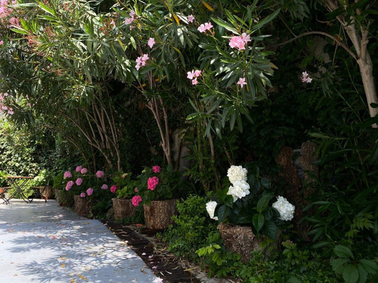 Продам дом, Целинная (Центральный р-н) ул, Сочи г, 0 км от города