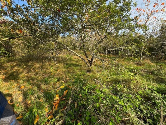 Продам участок 4,6 соток, Фермерское хоз., Каштан снт, Сочи г, 0 км от города