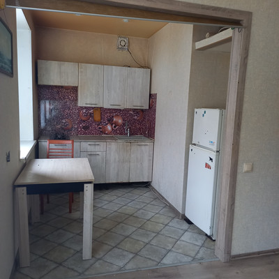 Продам однокомнатную (1-комн.) квартиру, Московский пр-кт, 220к2, Санкт-Петербург г