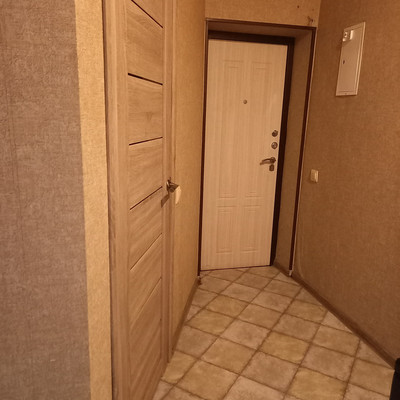 Продам однокомнатную (1-комн.) квартиру, Московский пр-кт, 220к2, Санкт-Петербург г