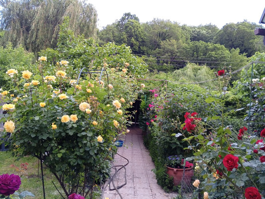 Продам дом, Маяк ст, Джубга пгт, 0 км от города