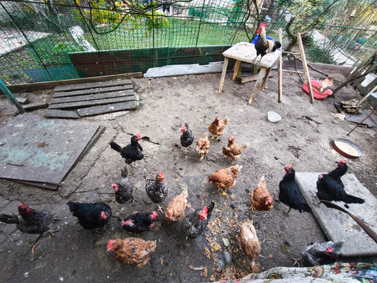 Продам дом, Маяк ст, Джубга пгт, 0 км от города