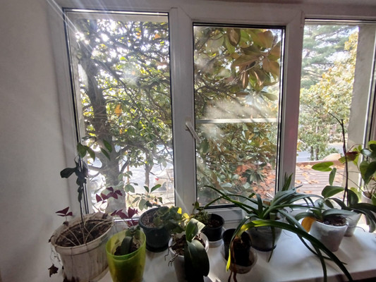 Продам двухкомнатную (2-комн.) квартиру, Маршала Жукова ул, 7/2, Туапсе г