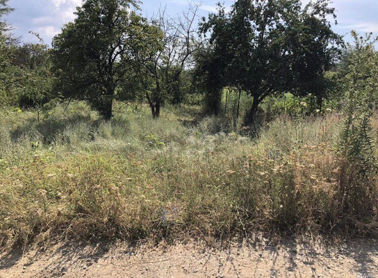 Продам участок 6,5 соток, ИЖС, Садовая ул, Северо-Восточные Сады х, 0 км от города