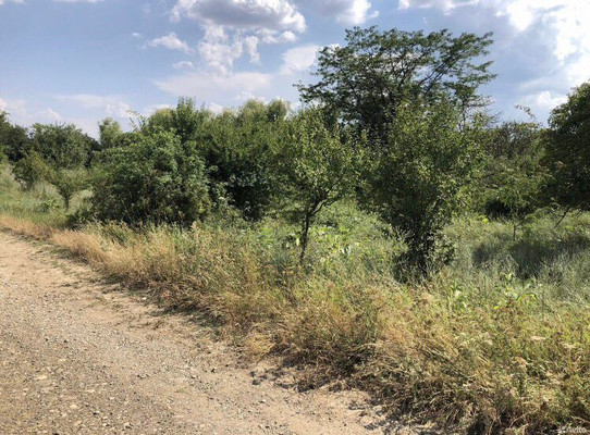 Продам участок 6,5 соток, ИЖС, Садовая ул, Северо-Восточные Сады х, 0 км от города