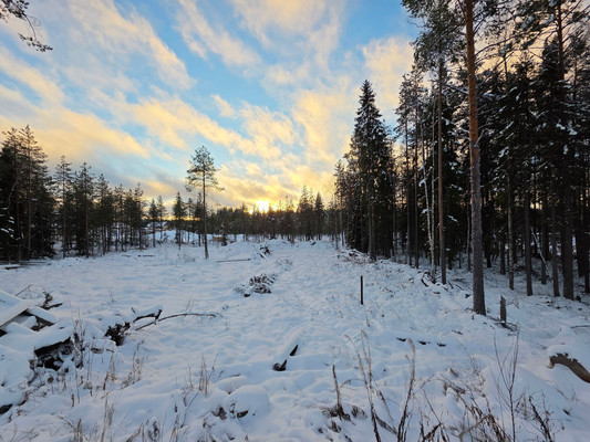 Продам участок 14 соток, ИЖС, Ленинградская ул, Костомукша г, 0 км от города