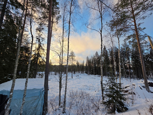 Продам участок 14 соток, ИЖС, Ленинградская ул, Костомукша г, 0 км от города