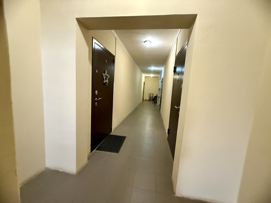 Продам трехкомнатную (3-комн.) квартиру, Десятинная ул, 11, Зверево д