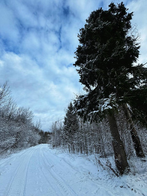 Продам участок 15 соток, ИЖС, Рожново д, 0 км от города