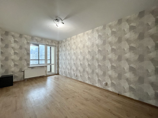 Сдам однокомнатную (1-комн.) квартиру, Ветеранов пр-кт, 169к3, Санкт-Петербург г