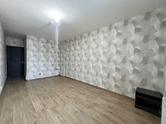 Сдам однокомнатную (1-комн.) квартиру, Ветеранов пр-кт, 169к3, Санкт-Петербург г