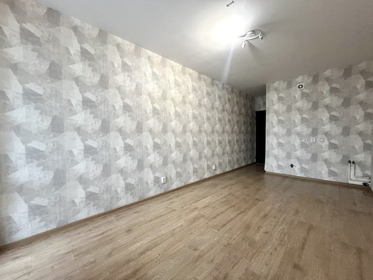 Сдам однокомнатную (1-комн.) квартиру, Ветеранов пр-кт, 169к3, Санкт-Петербург г