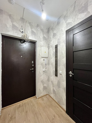 Сдам однокомнатную (1-комн.) квартиру, Ветеранов пр-кт, 169к3, Санкт-Петербург г