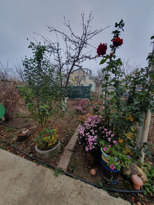 Продам дом, Прудовая ул, 15к1, Солнечный п, 0 км от города