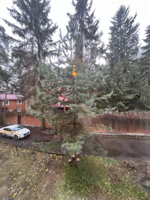 Продам трехкомнатную (3-комн.) квартиру, Республиканская ул, 86А, Малаховка рп