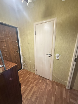 Продам однокомнатную (1-комн.) квартиру, Приозерная ул, 4, Запрудня рп