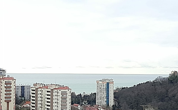 Продам однокомнатную (1-комн.) квартиру, Метелёва (Агро тер. СНТ) ул, 12, Сочи г