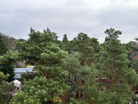 Продам однокомнатную (1-комн.) квартиру, Счетчикова ул, 28, Кратово дп