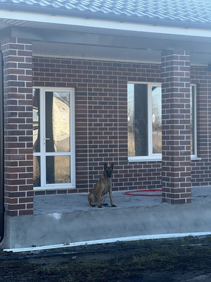 Продам дом, Кулибина ул, 83, Новая Усмань с, 0 км от города