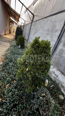 Продам дом, Шевченко ул, Крымск г, 0 км от города