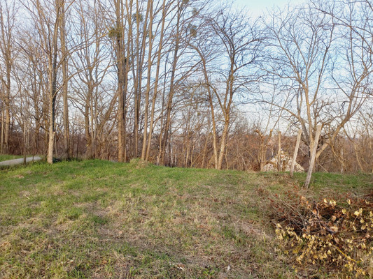 Продам участок 5,8 соток, Фермерское хоз., Приречная (Импульс тер. СНТ) ул, Краснооктябрьский п, 0 км от города