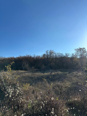 Продам участок 5 соток, ИЖС, Андреевская ул, Супсех с, 0 км от города