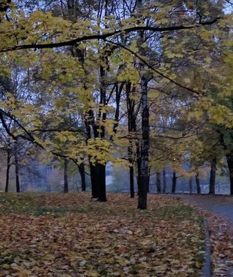 Продам двухкомнатную (2-комн.) квартиру, Загородное ш, 4к2, Москва г