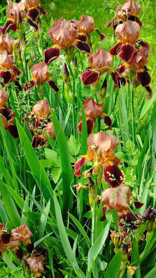 Продам дом, 11, квартал Дмитровский тер, 0 км от города