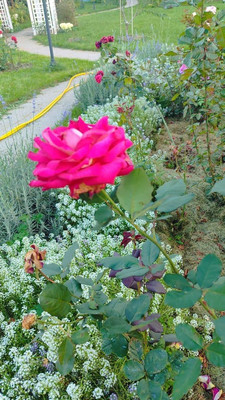 Продам дом, 11, квартал Дмитровский тер, 0 км от города