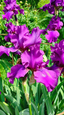 Продам дом, 11, квартал Дмитровский тер, 0 км от города