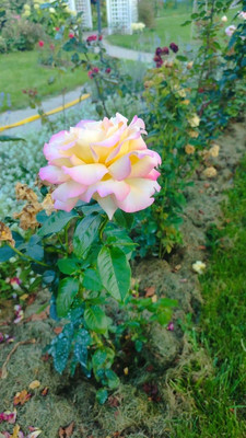 Продам дом, 11, квартал Дмитровский тер, 0 км от города