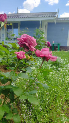 Продам дом, 11, квартал Дмитровский тер, 0 км от города