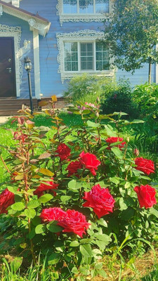 Продам дом, 11, квартал Дмитровский тер, 0 км от города