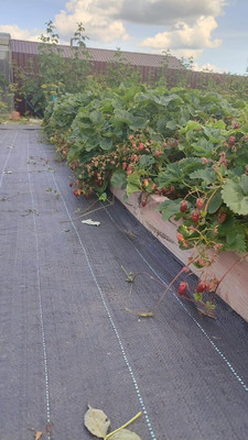 Продам дом, 11, квартал Дмитровский тер, 0 км от города