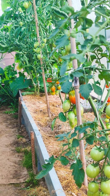 Продам дом, 11, квартал Дмитровский тер, 0 км от города