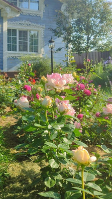 Продам дом, 11, квартал Дмитровский тер, 0 км от города