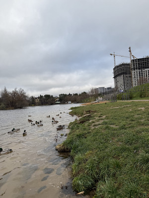 Продам однокомнатную (1-комн.) квартиру (долевое), Красногорский б-р, Красногорск г