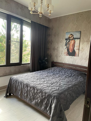 Сдам коттедж, Борки д, 0 км от города