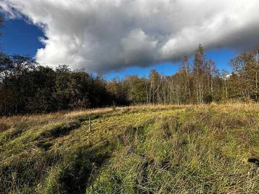 Продам участок 14,4 соток, ИЖС, Приморская ул, Рябово п, 0 км от города