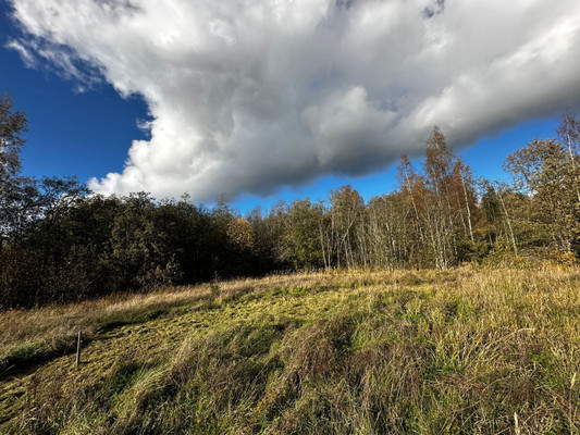 Продам участок 14,4 соток, ИЖС, Приморская ул, Рябово п, 0 км от города