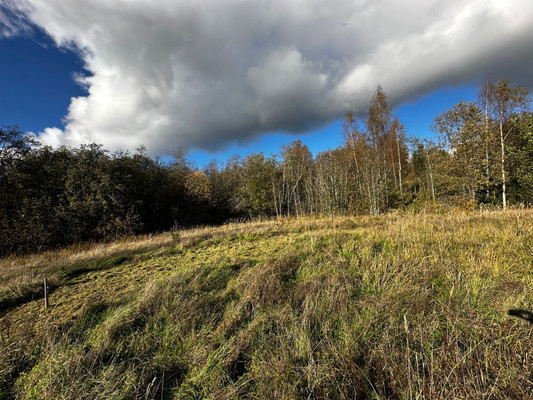 Продам участок 14,4 соток, ИЖС, Приморская ул, Рябово п, 0 км от города