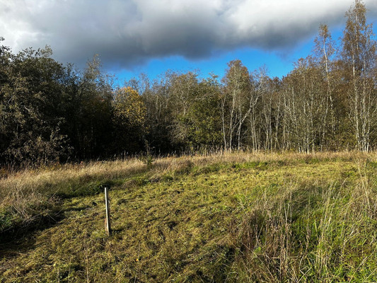 Продам участок 14,4 соток, ИЖС, Приморская ул, Рябово п, 0 км от города