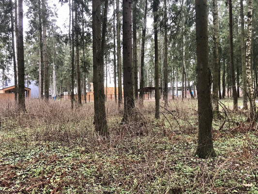 Продам участок 9 соток, ИЖС, Протасово д, 0 км от города