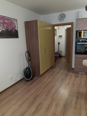 Сдам однокомнатную (1-комн.) квартиру, Тамбасова ул, 3к1, Санкт-Петербург г