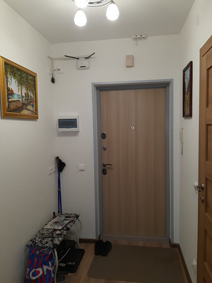 Сдам однокомнатную (1-комн.) квартиру, Тамбасова ул, 3к1, Санкт-Петербург г