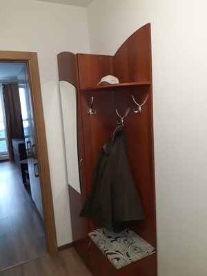 Сдам однокомнатную (1-комн.) квартиру, Тамбасова ул, 3к1, Санкт-Петербург г