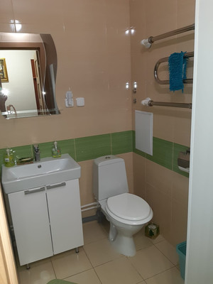 Сдам однокомнатную (1-комн.) квартиру, Тамбасова ул, 3к1, Санкт-Петербург г